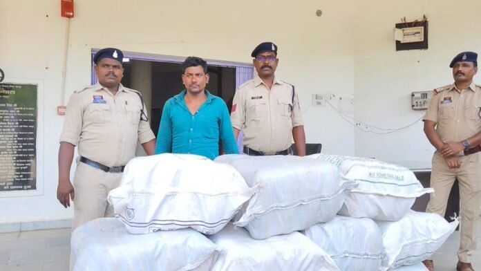 WhatsApp Image 2026-05-13 at 3.34.14 PM