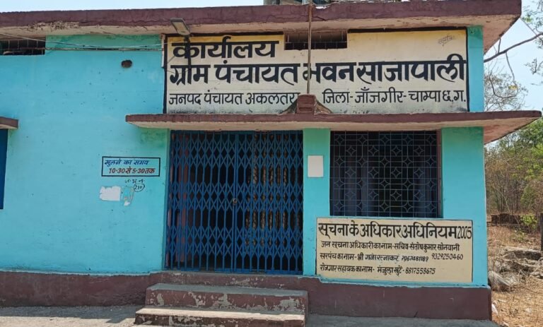 Sajpali Panchayat Controversy: मनरेगा जांच के बीच साजपाली में बढ़ा विवाद, पत्रकारों से सरपंच की बहस का वीडियो वायरल