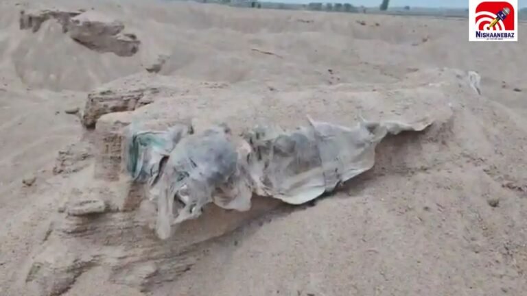 Dhamtari Sand Mining Case: रेत खनन में श्मशान की खुदाई में मिले 10 से ज्यादा नर कंकाल, ग्रामीणों में आक्रोश