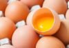 Egg Freshness Check: बिना तोड़े ऐसे पहचानें अंडा फ्रेश है या खराब, खाने से पहले यूँ करें चेक, FSSAI का आसान तरीका