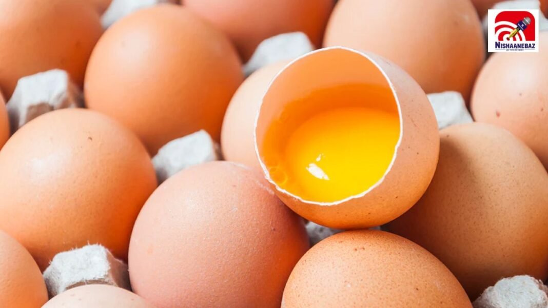 Egg Freshness Check: बिना तोड़े ऐसे पहचानें अंडा फ्रेश है या खराब, खाने से पहले यूँ करें चेक, FSSAI का आसान तरीका