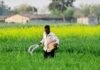 CG Kisan News: बढ़ने वाली है किसानों की चिंता! लागू हुआ खाद वितरण का नया नियम, मिलेगा कम यूरिया-DAP
