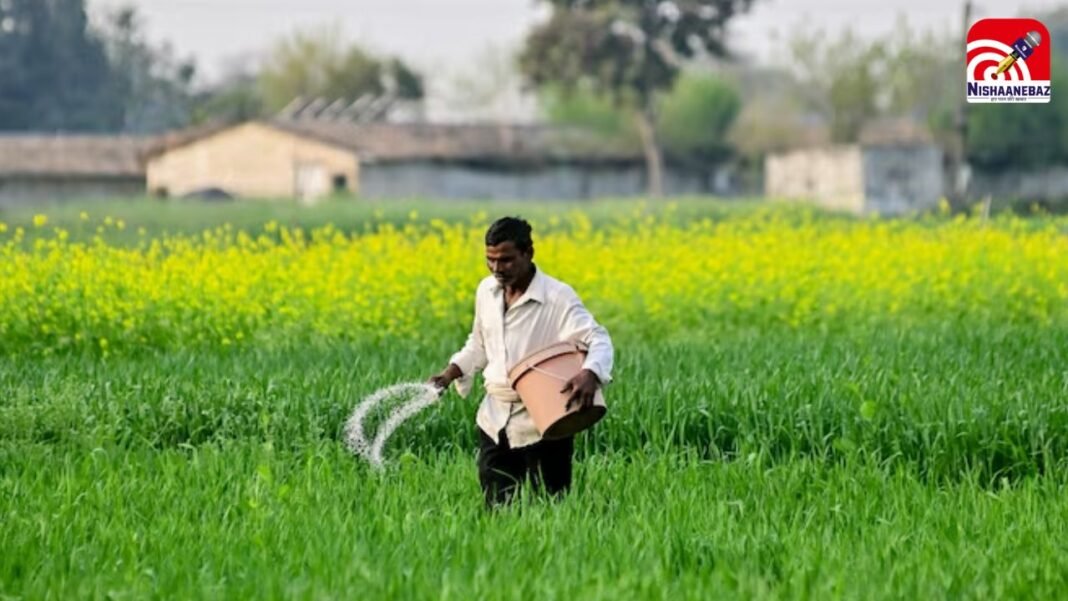 CG Kisan News: बढ़ने वाली है किसानों की चिंता! लागू हुआ खाद वितरण का नया नियम, मिलेगा कम यूरिया-DAP