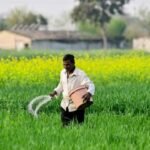 धान, मक्का या सोयाबीन… इस बार किसान किस खरीफ फसल पर लगाएं दांव?