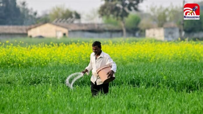 farmer