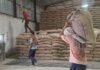 MP Farmers Issue: बैतूल में महिला स्व-सहायता समूहों की मनमानी, समर्थन मूल्य खरीदी केंद्रों पर किसानों से खुली लूट जारी…
