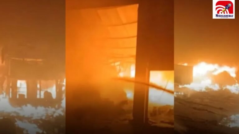 Raipur News: बीरगांव की बिस्किट फैक्ट्री में आधी रात भड़की भीषण आग, मौके पर 5 से ज्यादा दमकल गाड़ियां