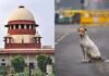 Supreme Court Stray Dogs Verdict : आवारा कुत्तों पर ‘सुप्रीम’ फैसला! नहीं बदलेगा पुराना आदेश, एनिमल वेलफेयर बोर्ड को तगड़ा झटका…