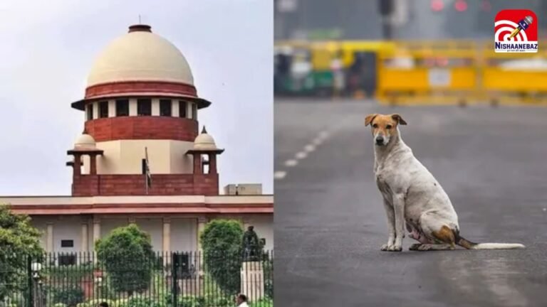 Supreme Court Stray Dogs Verdict : आवारा कुत्तों पर ‘सुप्रीम’ फैसला! नहीं बदलेगा पुराना आदेश, एनिमल वेलफेयर बोर्ड को तगड़ा  झटका…