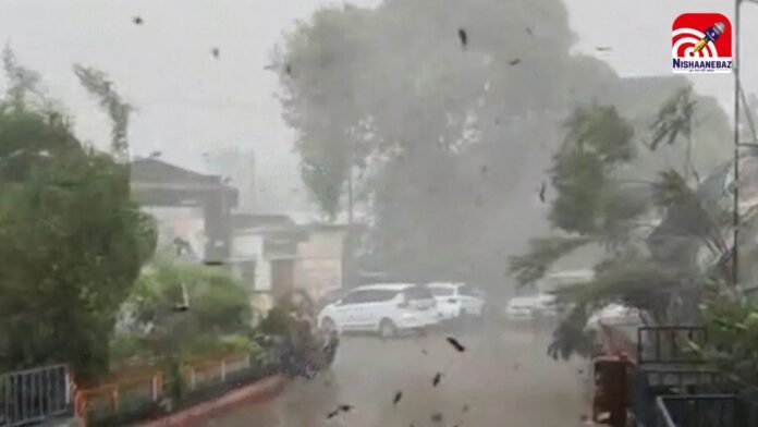 weather