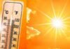 CG Weather Update: ‘नौतपा’ से पहले रायपुर-दुर्ग-बिलासपुर में तपिश चरम पर, सड़कें हुईं सुनसान