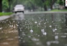 MP Weather Today: मध्यप्रदेश में मानसून फिर एक्टिव! अगले 3 दिन इन जिलों में बारिश का अलर्ट MP Weather Today