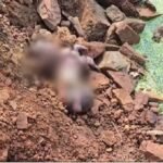 Raipur Crime: रावाभाठा में फिर मिला भ्रूण, दूसरी घटना से स्थानीय लोगों में चिंता, जांच में जुटी पुलिस