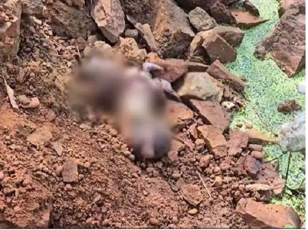 Raipur Crime: रावाभाठा में फिर मिला भ्रूण, दूसरी घटना से स्थानीय लोगों में चिंता, जांच में जुटी पुलिस