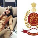 Raipur Drugs Case: रायपुर ड्रग्स केस में ED की एंट्री, नव्या मलिक की संपत्तियों और वित्तीय लेनदेन की होगी जांच
