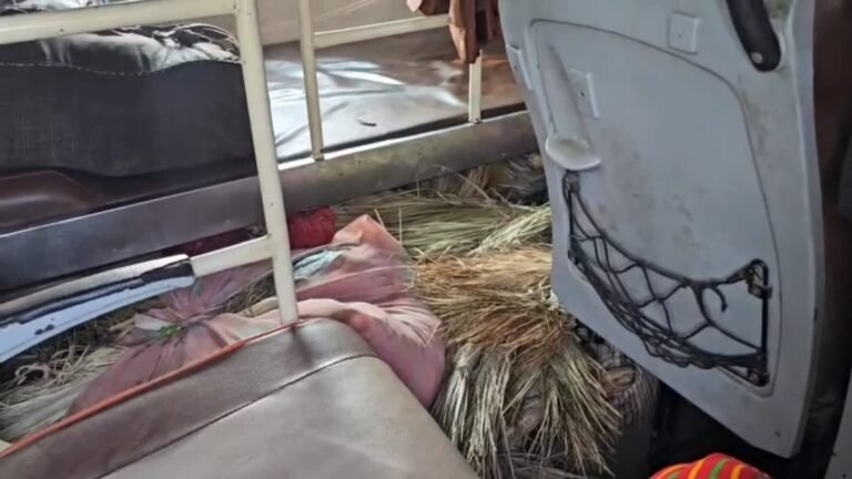 Surajpur Ganja Smuggling: यात्री बस बनी नशे की खेप का ज़रिया: सूरजपुर पुलिस ने ज़ब्त किया 2 करोड़ का गांजा, जांच में जुटी टीमें