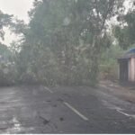 Chhattisgarh Pre-monsoon Update