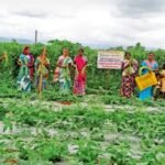 Surguja-Anima Khes organic farming