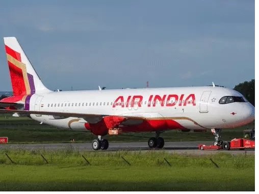 Raipur Airport Bird Hit Air India