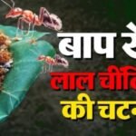 Bastar Culture -Chapda Chutney