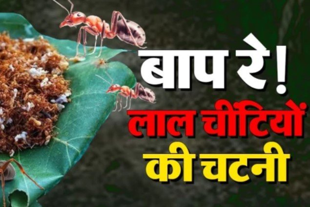 Bastar Culture -Chapda Chutney