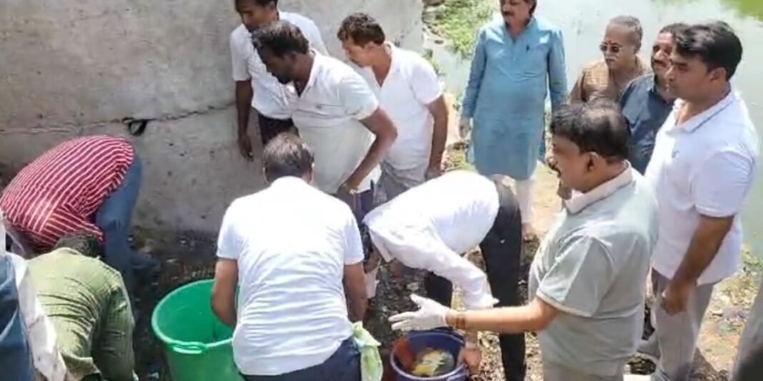 Swachhata Abhiyan: सीहोर के सीवन घाट पर गंदगी देख भड़के सांसद आलोक शर्मा, लापरवाह अधिकारियों को लगाई क्लास