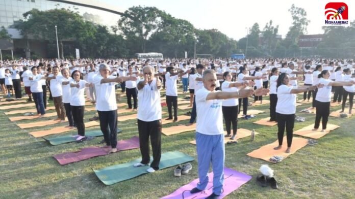 MP YOGA