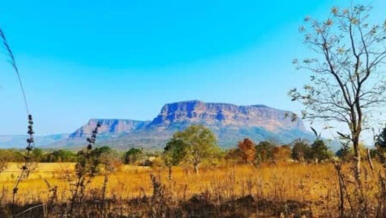 Bastar IED Free 2026: नक्सलियों की बड़ी साजिश नाकाम, कर्रेगुट्टा की पहाड़ियों पर सुरक्षाबलों ने खोज निकाले सबसे ज्यादा बम