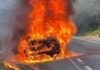EV vs Petrol Car Fire Safety: जानें क्या कहते हैं आंकड़े, कौन सी कार है आग से ज्यादा सुरक्षित