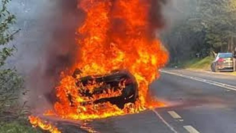 EV vs Petrol Car Fire Safety: जानें क्या कहते हैं आंकड़े, कौन सी कार है आग से ज्यादा सुरक्षित
