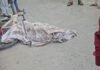 Indore Road Accident: इंदौर में रफ्तार का कहर: बिजलपुर रोड पर पानी के टैंकर ने बुजुर्ग साइकिल सवार को कुचला, मौके पर मौत; आरोपी ड्राइवर गिरफ्तार