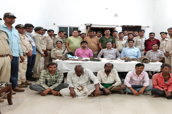 Forest Department Action: अमरवाड़ा में बाघ तस्करी का बड़ा खुलासा 30 लाख की अवैध डील में वन विभाग का शानदार ट्रैप ऑपरेशन, संगठित गिरोह के 4 तस्कर गिरफ्तार