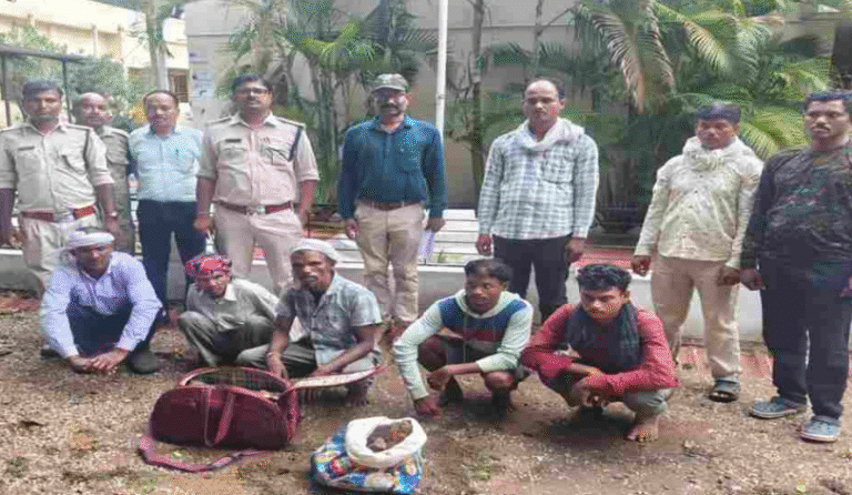 Balaghat News: बालाघाट में बाघ तस्करी का बड़ा भंडाफोड़, टाइगर की हड्डियां बेचने की फिराक में 5 तस्कर गिरफ्तार, दो कंकाल बरामद