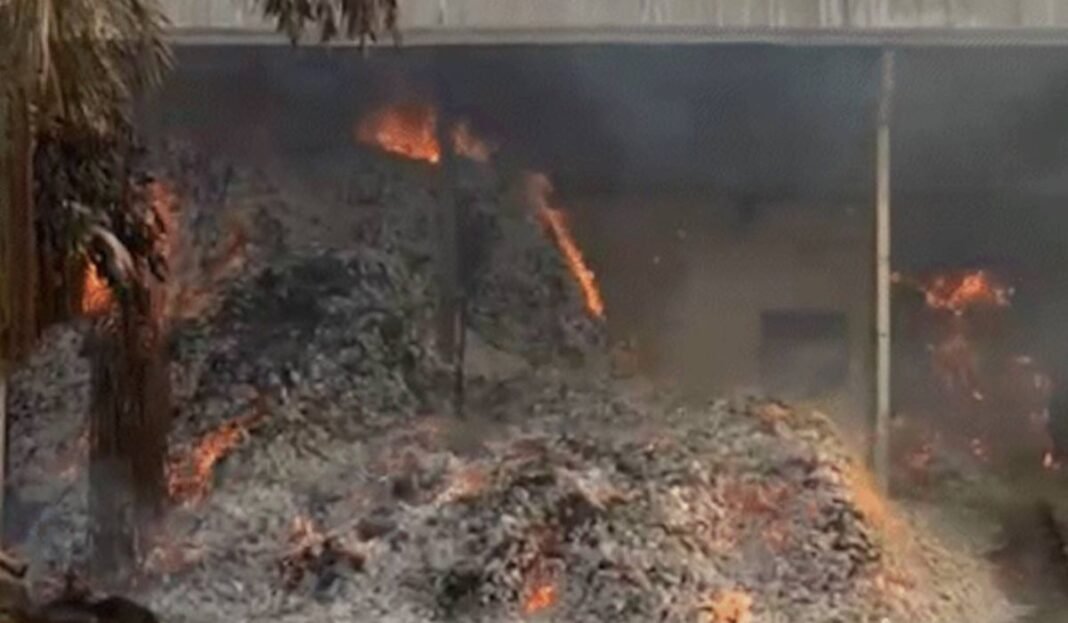 Bijapur Tendu Leaf Fire Case: तेंदूपत्ता आगजनी कांड में नया मोड़ निलंबित वन रक्षक ने अधिकारियों पर लगाए गंभीर आरोप, कहा- मुझे बनाया गया बलि का बकरा