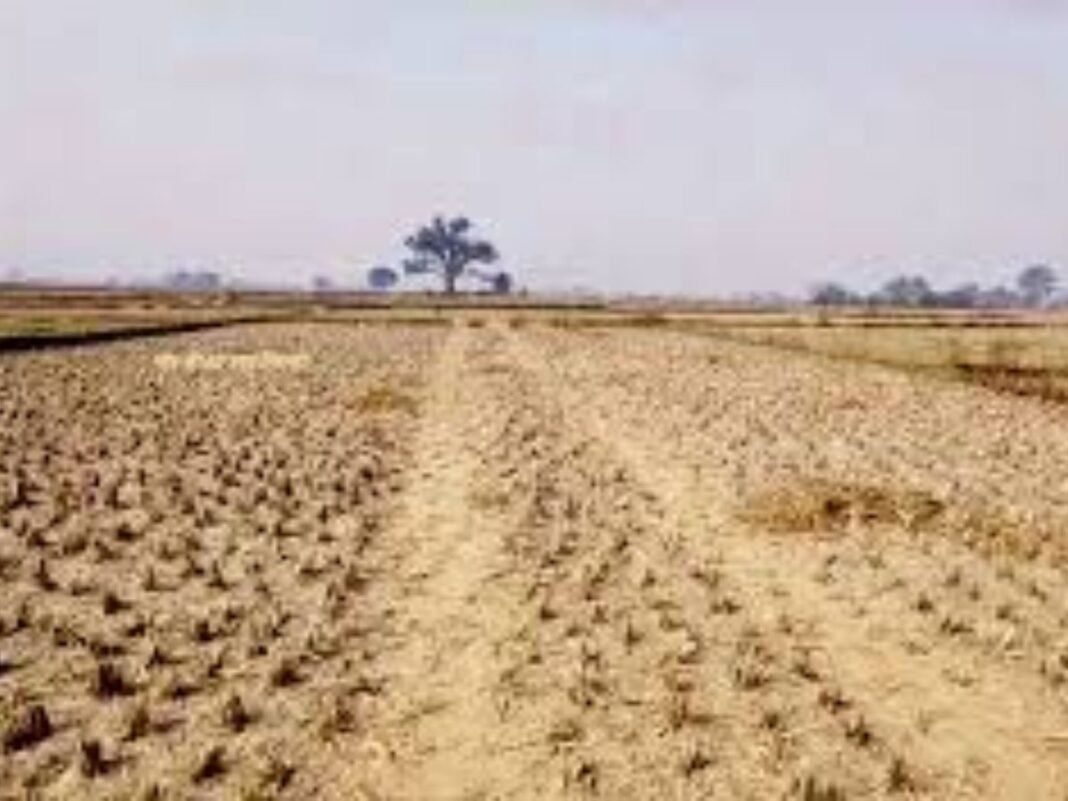 Chhattisgarh Agriculture: छत्तीसगढ़ में मानसून की कछुआ चाल से खरीफ सीजन प्रभावित: धान की बुआई एक सप्ताह पिछड़ी, खेतों में पर्याप्त नमी न होने से ठप पड़ी जुताई Chhattisgarh Agriculture: छत्तीसगढ़ में मानसून की कछुआ चाल से खरीफ सीजन प्रभावित: धान की बुआई एक सप्ताह पिछड़ी, खेतों में पर्याप्त नमी न होने से ठप पड़ी जुताई