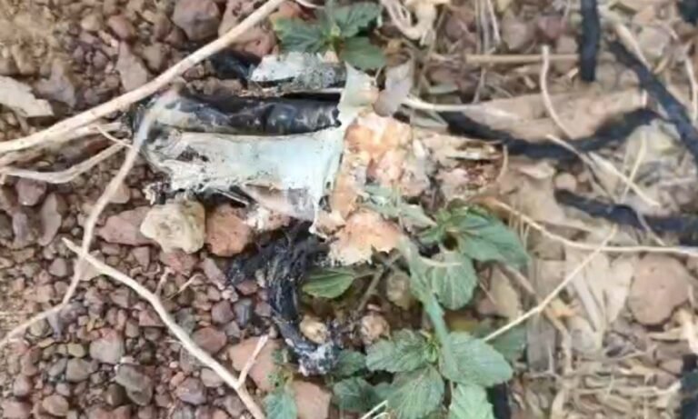 Mauganj News: देवतालाब शिव मंदिर के पास मिली डायनामाइट जैसी विस्फोटक सामग्री, इलाके में हड़कंप