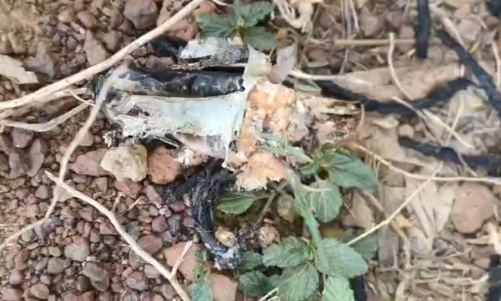 Mauganj News: देवतालाब शिव मंदिर के पास मिली डायनामाइट जैसी विस्फोटक सामग्री, इलाके में हड़कंप Mauganj News: देवतालाब शिव मंदिर के पास मिली डायनामाइट जैसी विस्फोटक सामग्री, इलाके में हड़कंप