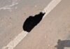 Gwalior Chetakpuri Road: ग्वालियर की चेतकपुरी सड़क में फिर बनी ‘रहस्यमयी सुरंग’; मानसून से पहले धंसी सड़क, मंडराया बड़ा खतरा