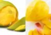 Benefits of Mango Peel: स्किन केयर से गार्डनिंग तक सुपरहिट है आम का छिलका, जबरदस्त फायदे जो बदल देंगे आपकी लाइफ