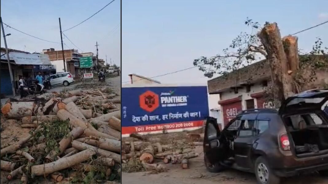 Lormi Electricity Crisis: लोरमी वन विभाग की लापरवाही से दस घंटे बिजली गुल तपती गर्मी में बेहाल हुई शहर की जनता