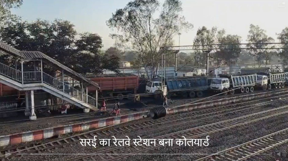 Singrauli News: सोन घड़ियाल अभ्यारण में अवैध रेत उत्खनन का बड़ा खेल; घड़ियाल-मगरमच्छों के अस्तित्व पर मंडराया संकट