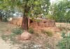Illegal Brick Kiln: अवैध ईंट भट्ठे पर समाचार का बड़ा असर: हरकत में आया राजस्व अमला, लारीपानी पहुँचे हल्का पटवारी