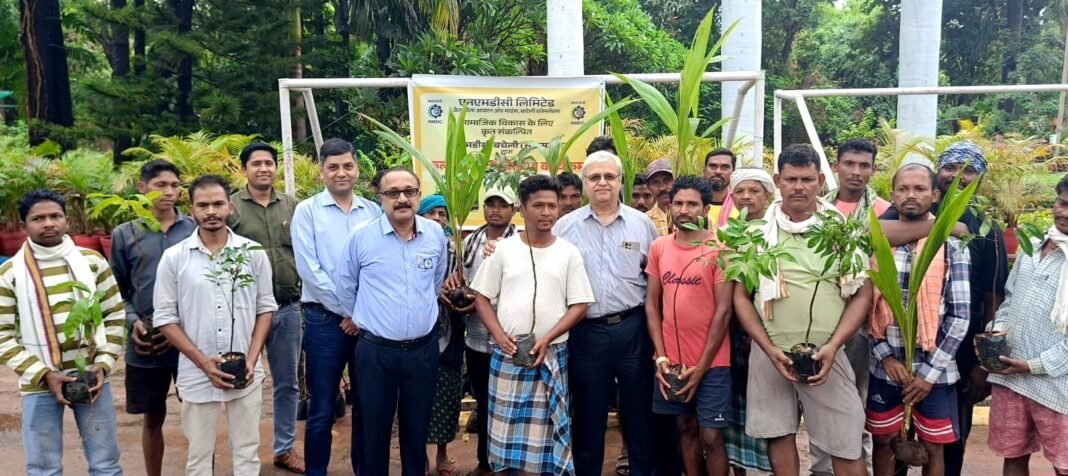 NMDC Bacheli CSR: एनएमडीसी बचेली की बड़ी पहल, स्थानीय किसानों की आय बढ़ाने के लिए बांटे 1,613 फलदार पौधे