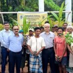 NMDC Bacheli CSR: एनएमडीसी बचेली की बड़ी पहल, स्थानीय किसानों की आय बढ़ाने के लिए बांटे 1,613 फलदार पौधे