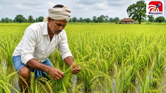 agriculture
