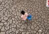 El Nino Alert: भारत में पड़ेगा भयंकर सूखा! अल नीनो के चलते दुनियाभर में बढ़ी वैज्ञानिकों की बेचैनी, जानें पूरा माजरा