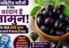 Jamun for Diabetes: डायबिटीज मरीजों के लिए वरदान है जामुन! जानिए कैसे ब्लड शुगर कंट्रोल करने में करता है मदद