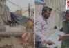 MP News: भोपाल में कुत्तों के चाटने के बाद बिक रही थी बर्फ! Video वायरल होते ही निगम का एक्शन