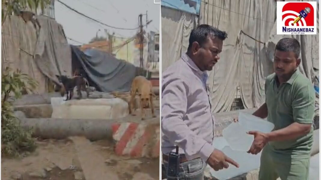 MP News: भोपाल में कुत्तों के चाटने के बाद बिक रही थी बर्फ! Video वायरल होते ही निगम का एक्शन