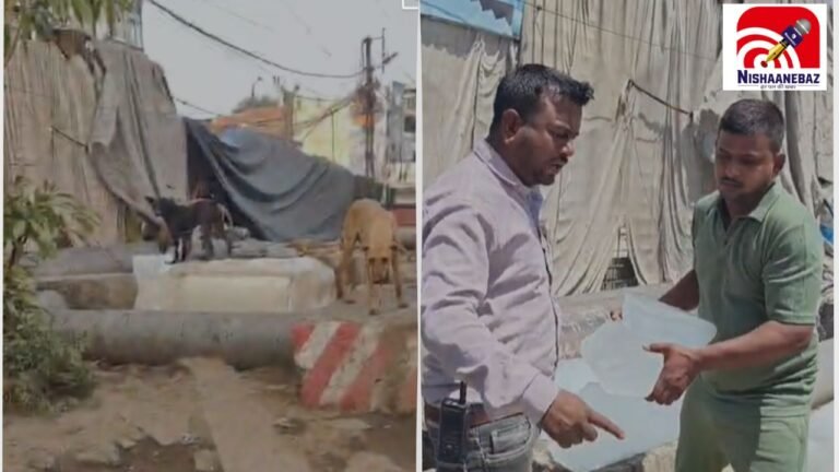MP News: भोपाल में कुत्तों के चाटने के बाद बिक रही थी बर्फ! Video वायरल होते ही निगम का एक्शन